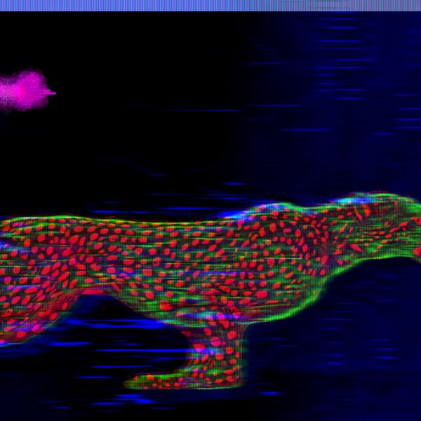 Kinetic Latency - digital surrealism by BasicGlitch