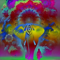 A surreal digital artwork titled 'Pachydermis' featuring a large, colorful elephant with blue, yellow, and pink hues at the center. The background is a vibrant, abstract composition of swirling neon patterns in red, green, blue, and purple. A small figure in a pink coat and hat stands to the right of the elephant, holding a circular object.