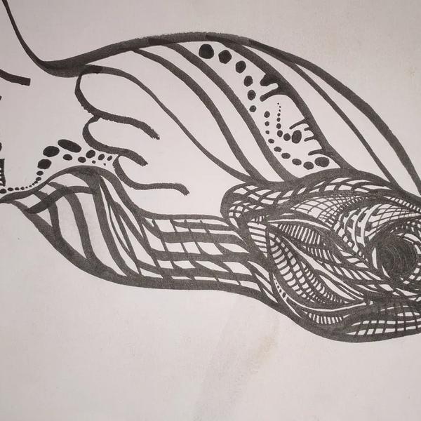 Unfishished Business: original hand-drawn black ink illustration on white paper showing a partial fish head in profile, filling most of the frame. The form is built from flowing parallel line work, dot patterns, and dense spiral detailing. A highly detailed spiral eye dominates the right portion. Several fin or branch-like forms extend from the upper left edge. The drawing appears deliberately incomplete in areas. Signed Basic Glitch. Traditional ink drawing by BasicGlitch.