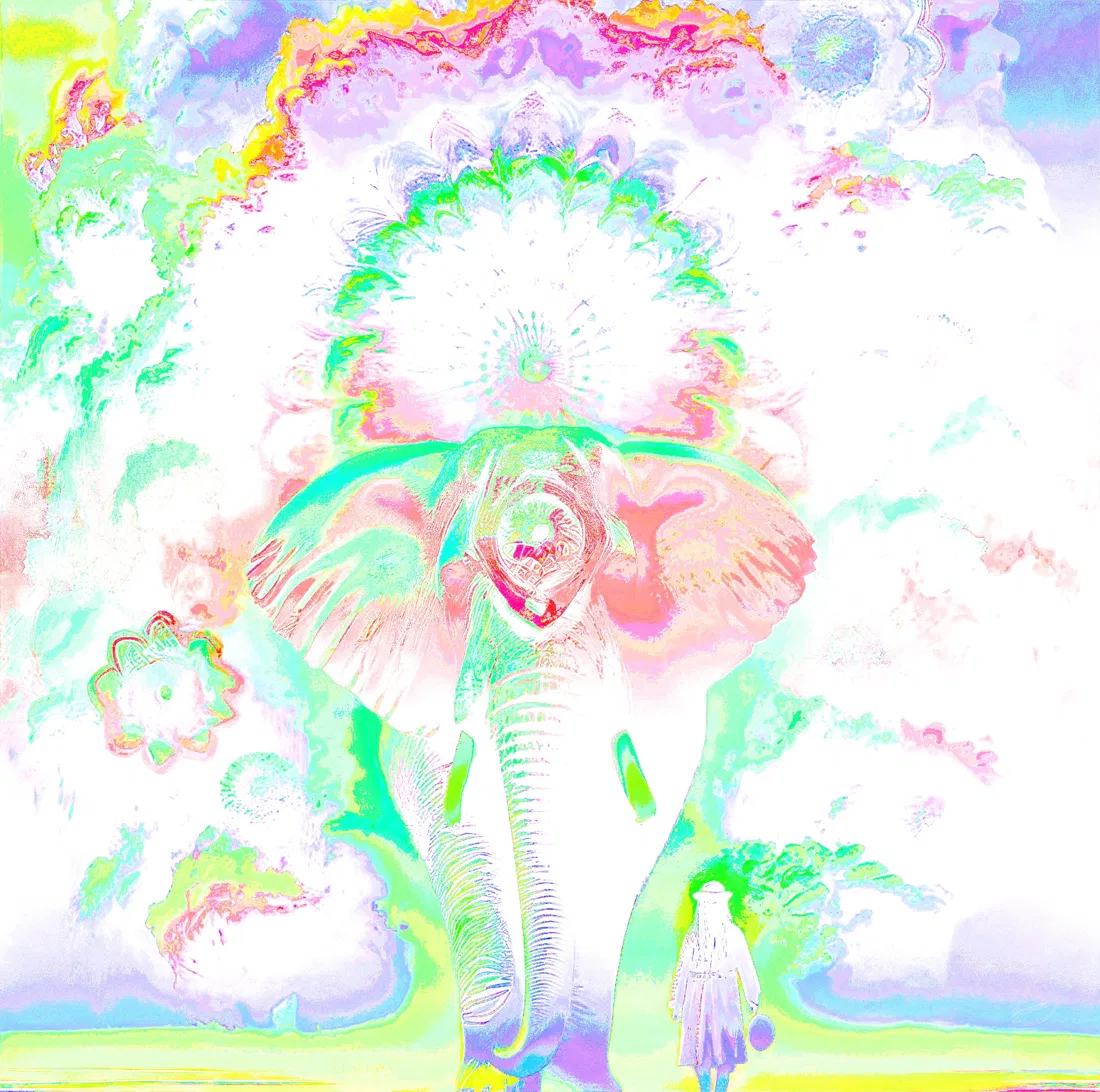 Pachydermis — Phish Edition - Digital Art by BasicGlitch