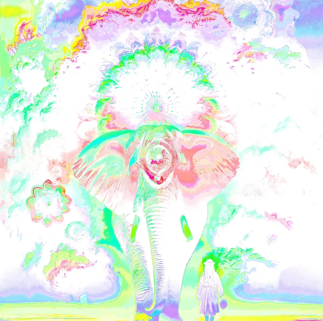 Pachydermis Phish Edition